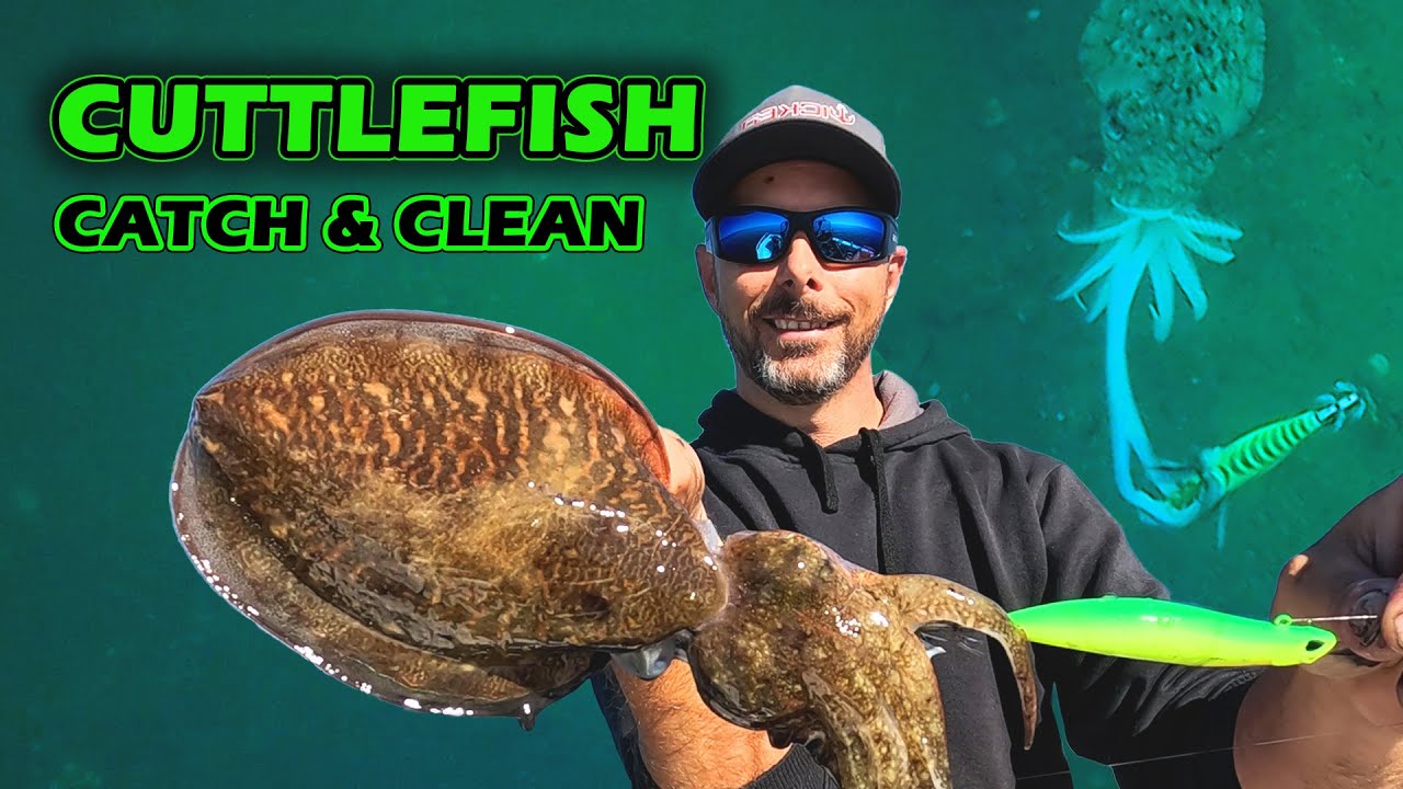 HOW TO CATCH AND CLEAN CUTTLEFISH | Moreton Bay | Underwater footage of cuttlefish eating squid jigs