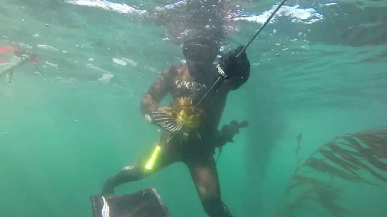 Santa Cruz Raptor Dive Day