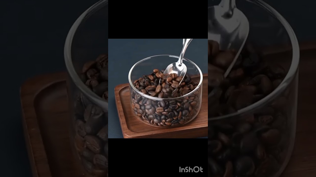 Coffee Grinder Charged Professional Stronger Adjustable SUS Core Grinding Machine