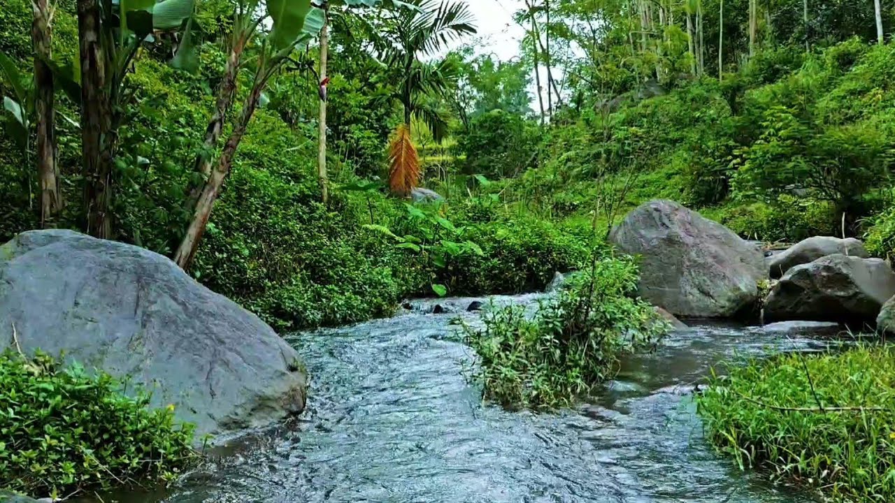 Beautiful River Sound for Relaxation and Meditation – Calming Water Stream to Clear Your