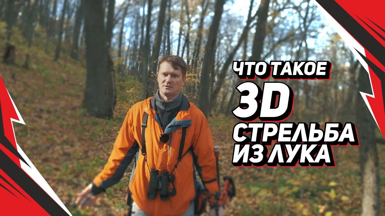 Что такое 3D стрельба из лука