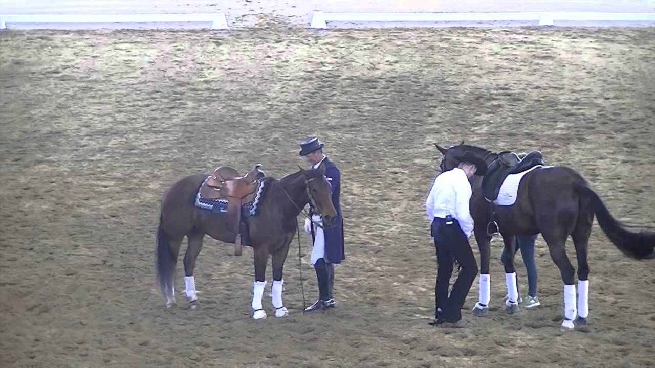 Dressage V Reining