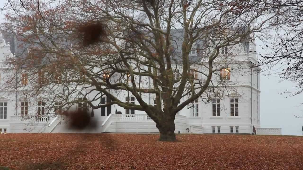 Kokkedal slot