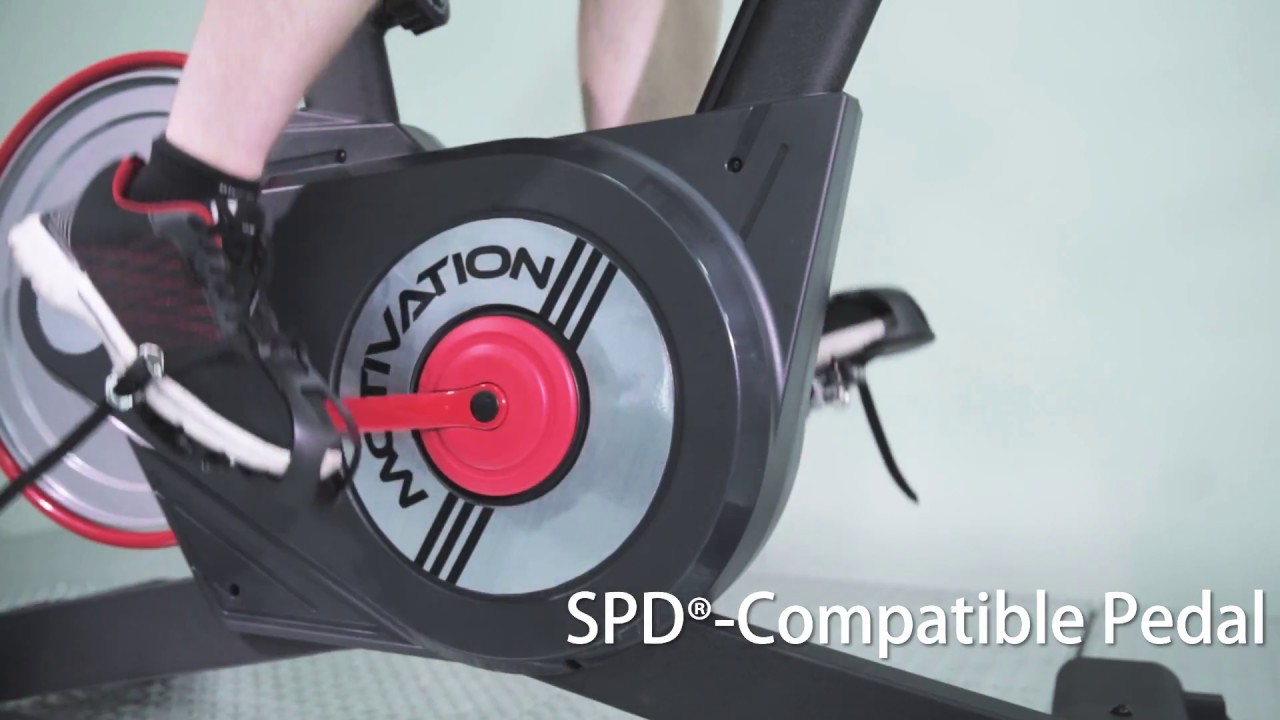 S23