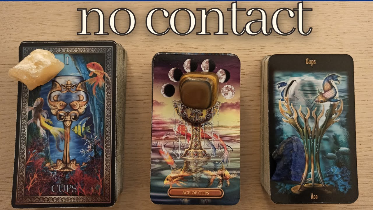 NO COMMUNICATION! NO CONTACT!  THEIR ACTIONS! THE FUTURE! ADVICE! PICK A CARD TIMELESS TAROT READING