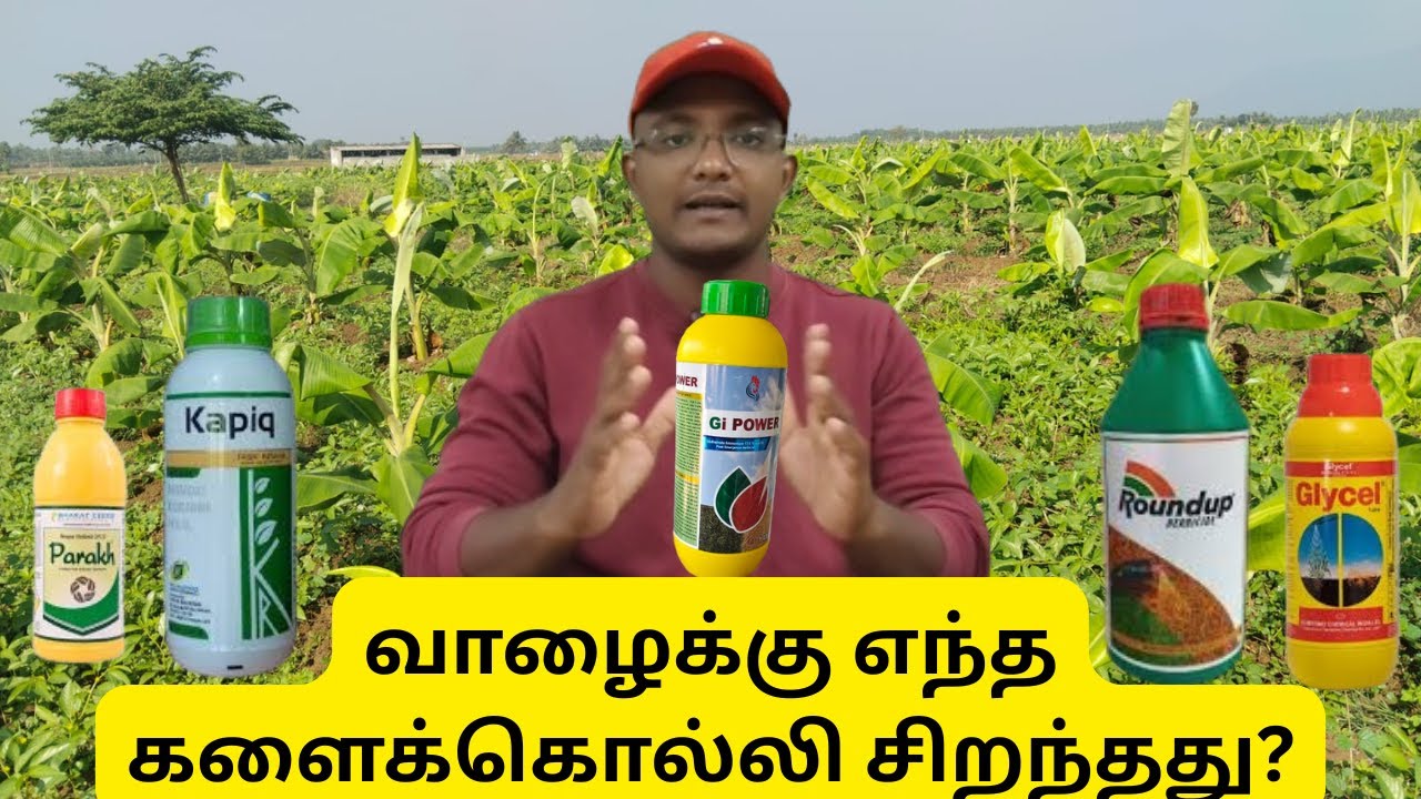 வாழைக்கு எந்த களைக்கொல்லி சிறந்தது? | Take it Easy #banana #farming #herbicides