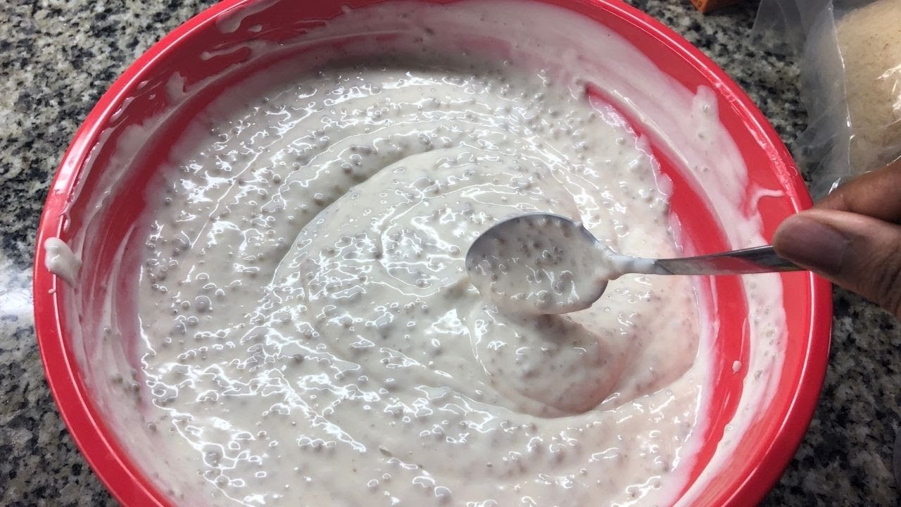 How to make D&ecirc;gu&ecirc;/Thiakry EXPRESS!!