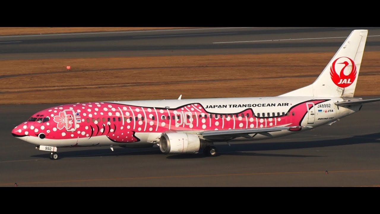 ✈✈セントレア Whale shark (Japan Transocean Air)さくらジンベエジェット Boeing 737-400 Take-off!! 中部国際空港セントレア