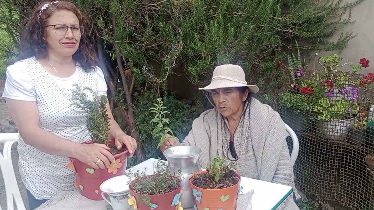Conexiones saludables