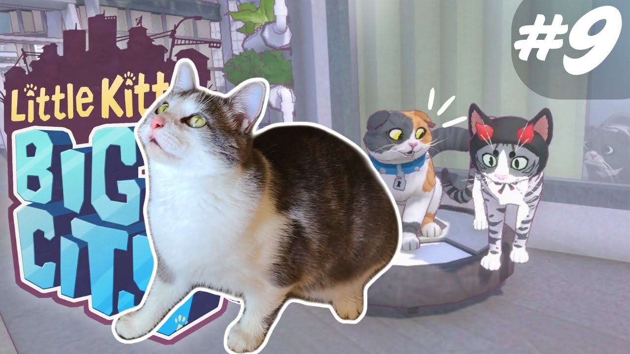Finding Felix! | Little Kitty, Big City | Ep. 9