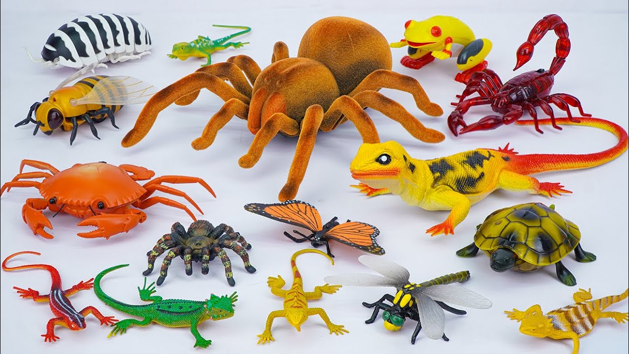ZURU ROBO ALIVE COLLECTION | UNBOXING Robot Tarantula, New Robo Alive Giant creepers | ASMR