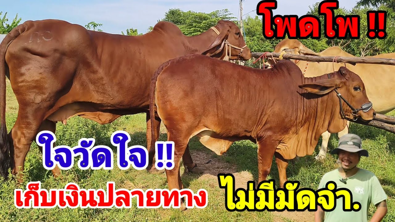 ที่สุดของปี แม่ลูกสวยๆ จัดโปรลดกระหน่ำ ส่งท้ายปี เก็บเงินปลายทาง ไม่ต้องมัดจำ