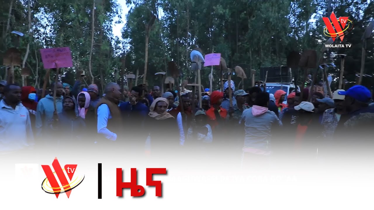 የምሽት አማርኛ ዜና 16/05/2018 ዓ.ም