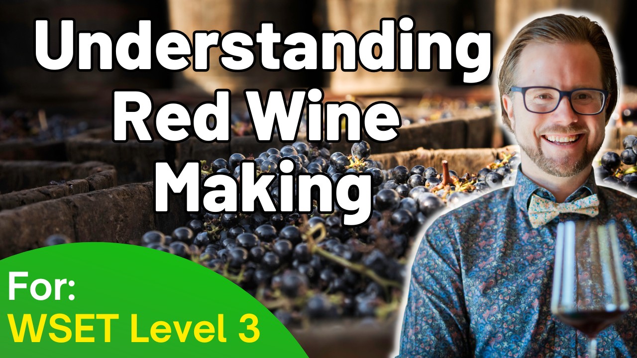 Понимание приготовления красного вина для WSET, уровень 3