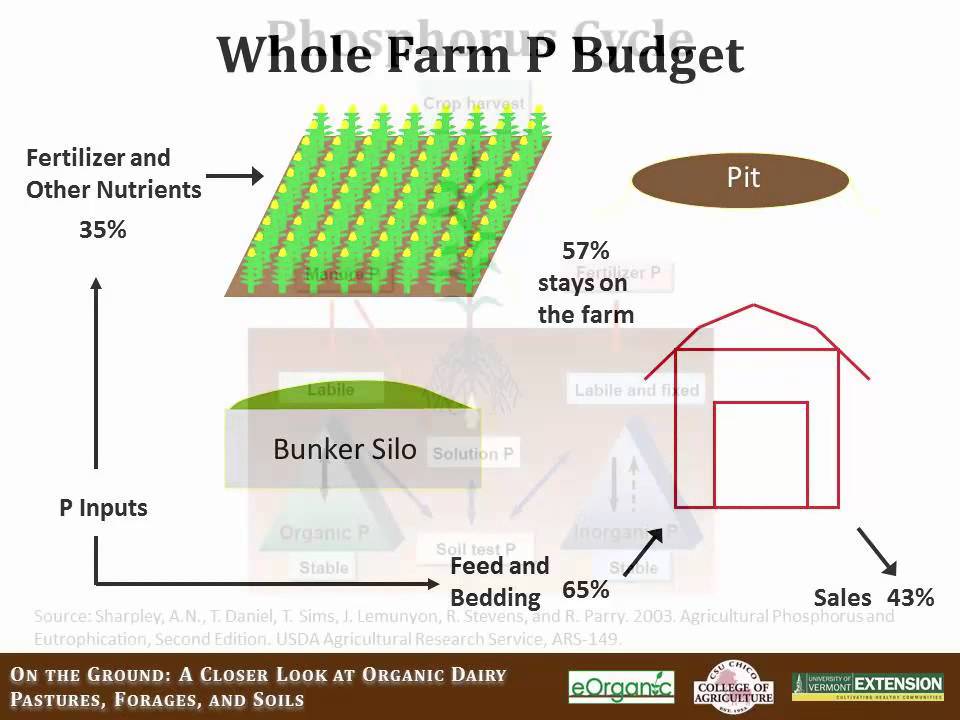 eOrganic Dairy Course: On the Ground. Module 2. Building Better Soils: Phosphorus