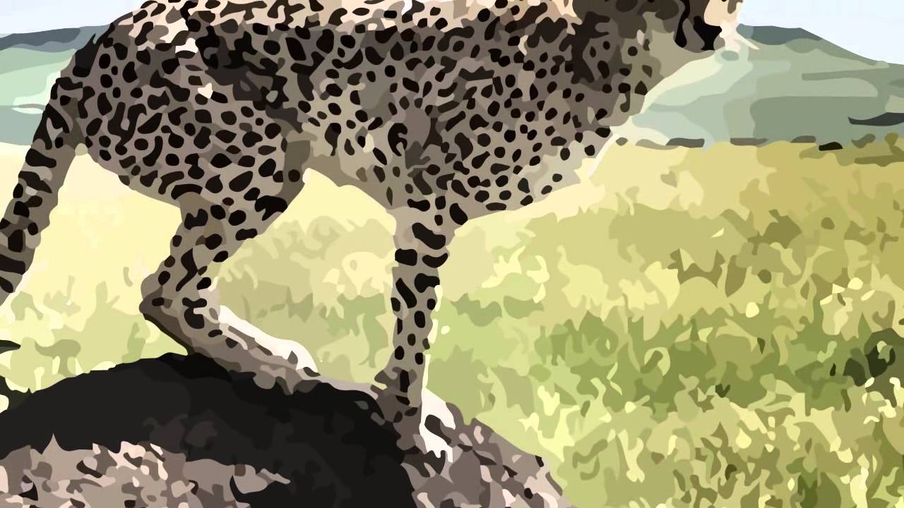 Parque Nacional Serengueti
