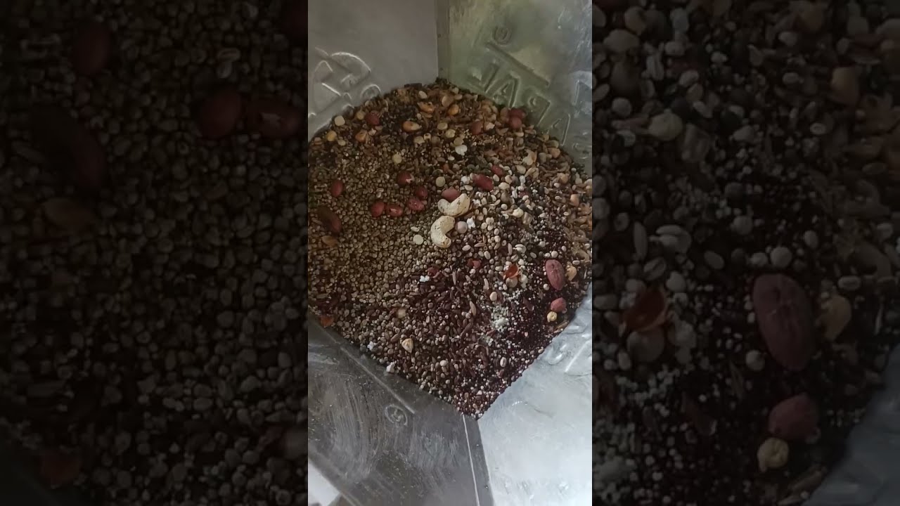 MULTIGRAINS FLOUR #pulverisermachine #attachakki 