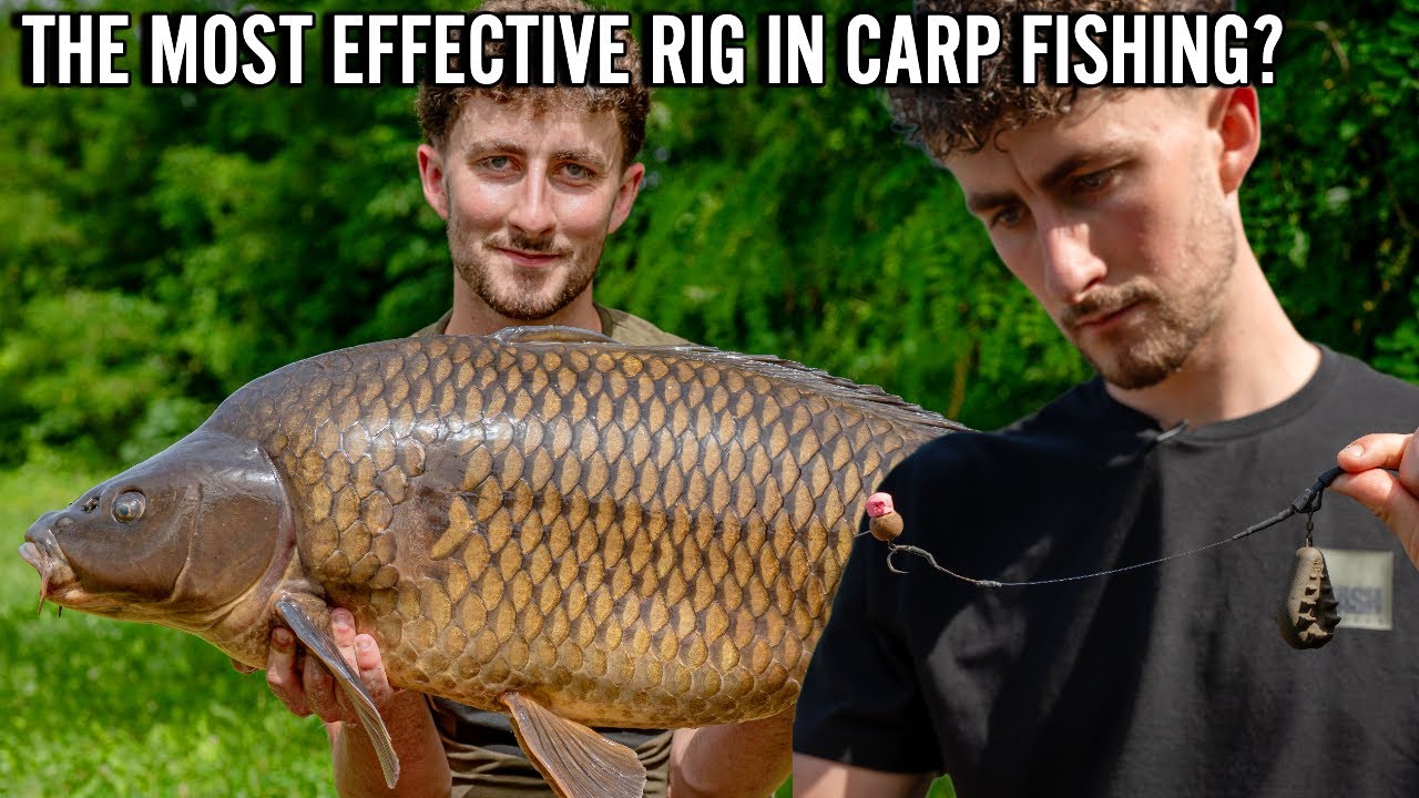 HOW TO TIE THE COMBI-MULTI SLIP D RIG - The Most Effective Rig in Carp Fishing - Flanx Tackle Bundle