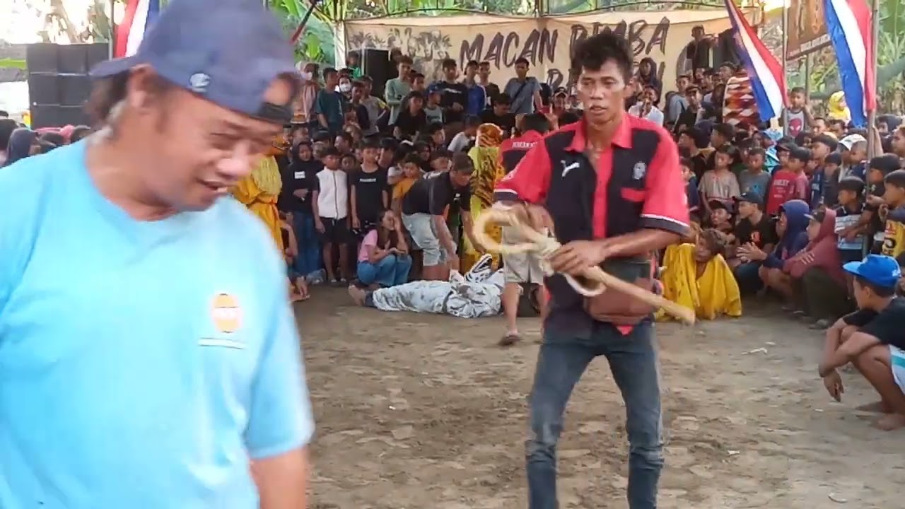 Kewan kewanan// MACAM RIMBA REBORN//live bromo kalinegoro Mertoyudan 