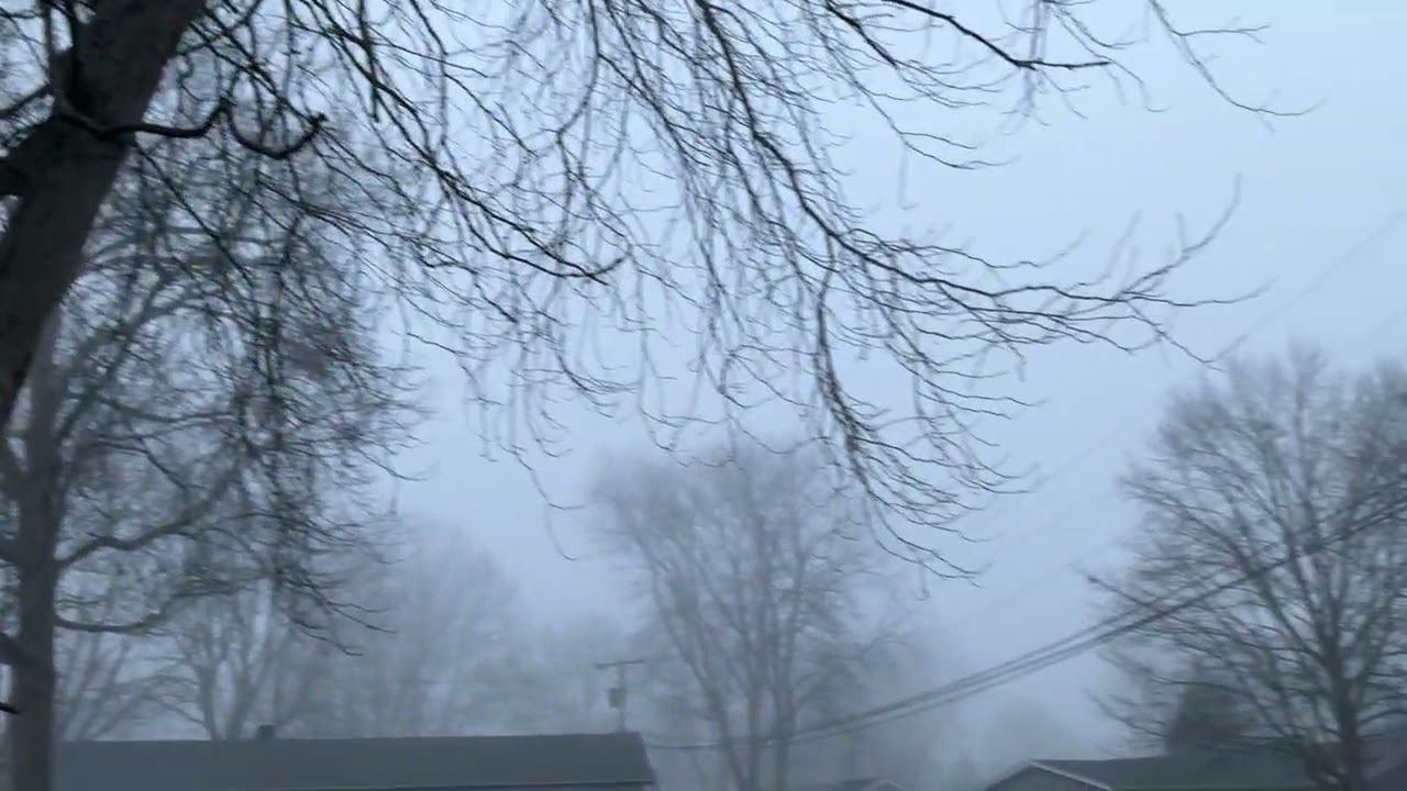 Foggy