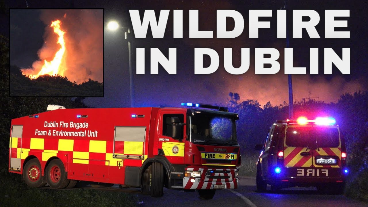 Wildfire In Dublin! Foam Truck Responds With Deck Gun To Fight Fire 🔥