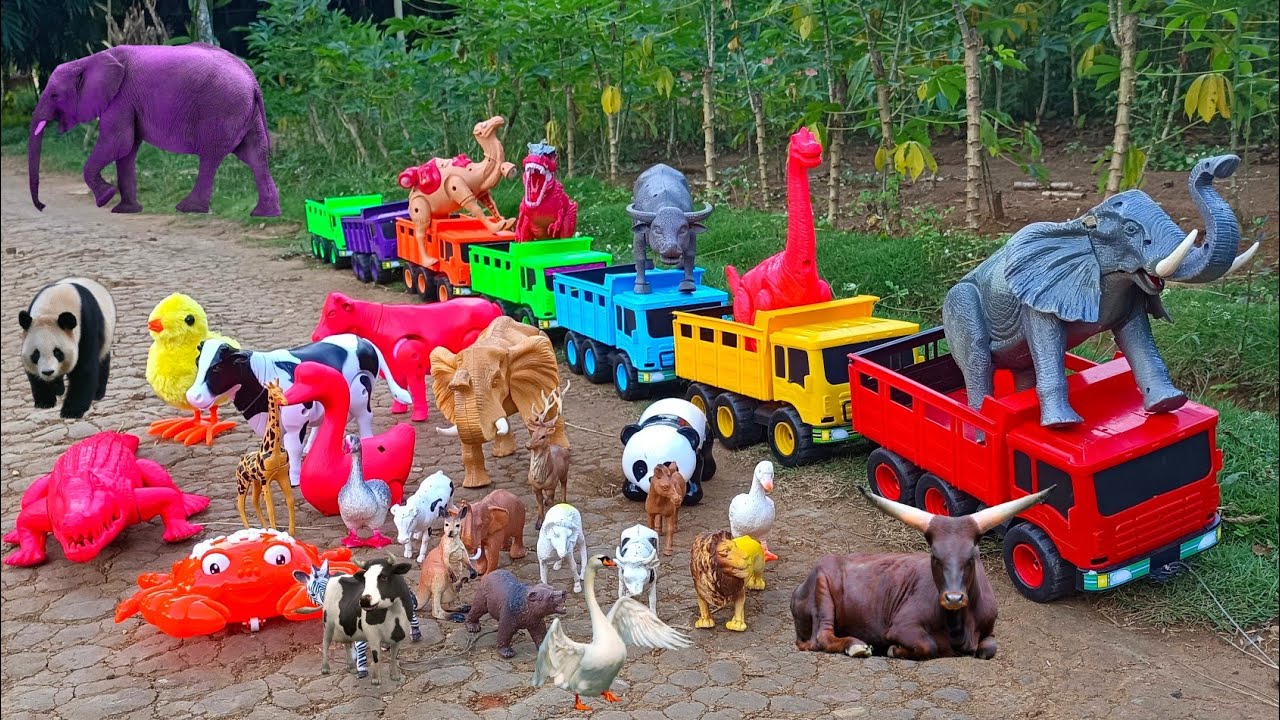 Wow...!  Truk oleng angkut sapi, bebek, angsa, ayam, kuda, gajah, panda, singa, zebra, unta, kambing