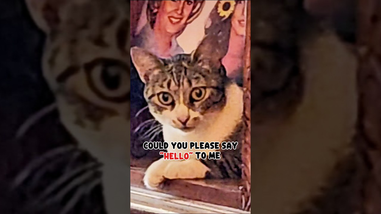 Please say "HELLO"  surprise! 
