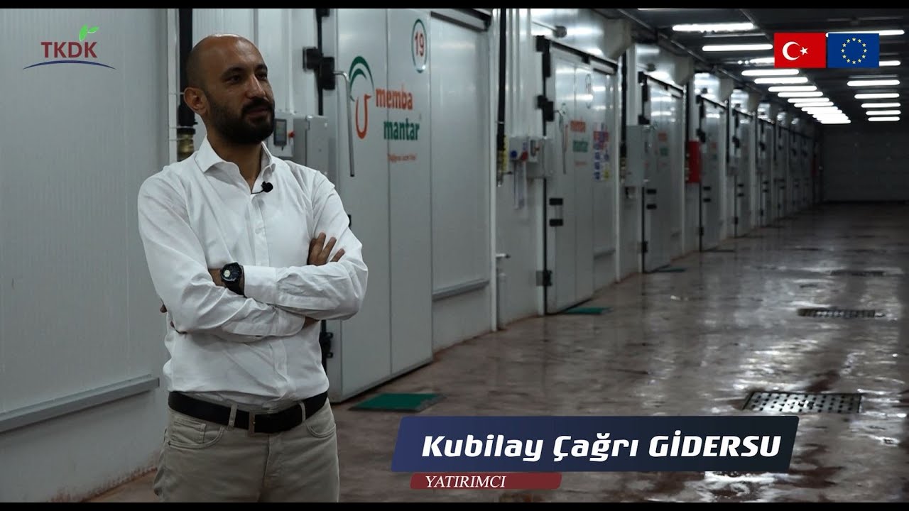Günlük 4 ton mantar üretiyor