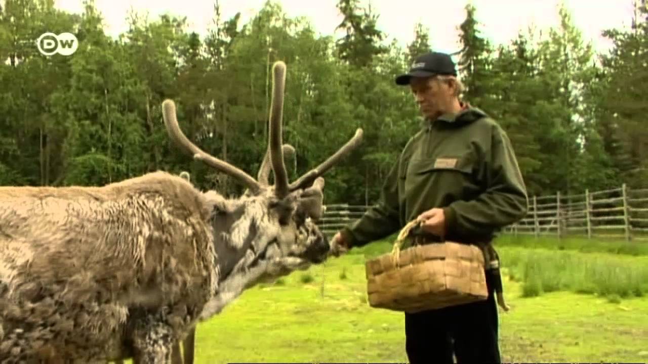 Rentierfilet mit Lakritzsauce aus Finnland | Euromaxx a la carte