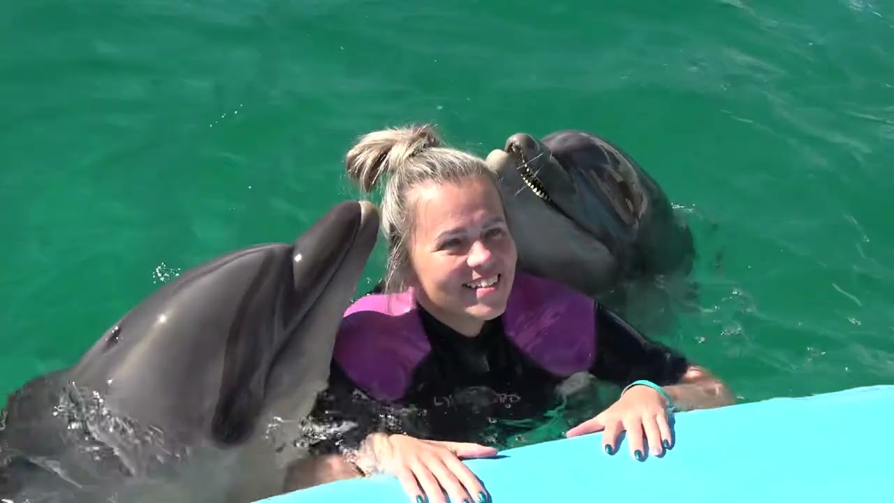 Pływanie z delfinami, delfinarium Hurghada, Egipt ,swimming with dolphins
