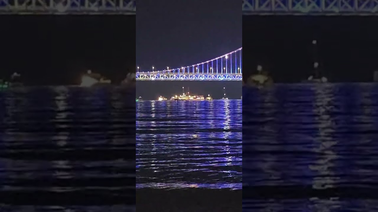 2026년 2월 24일