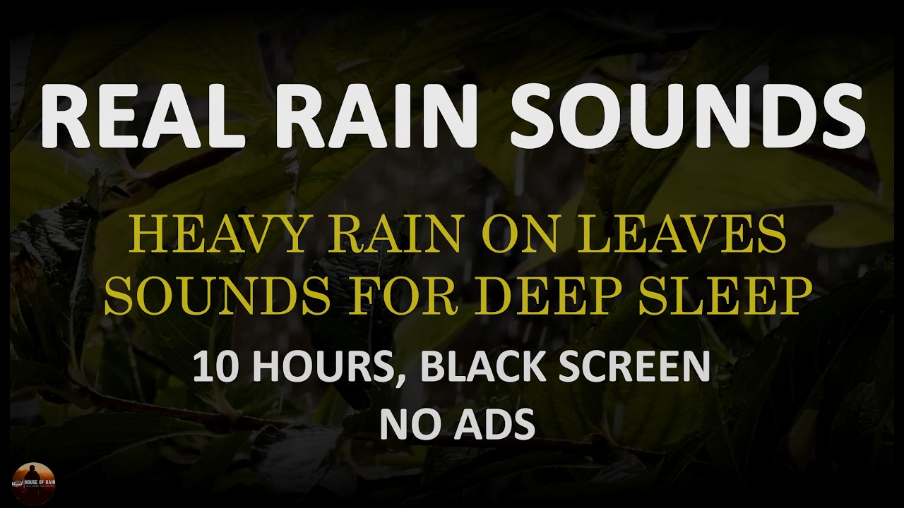 Real Sounds of Rain to Help You Sleep, Black Screen Rain Sounds for Deep Sleep, 10 Hours NO ADS