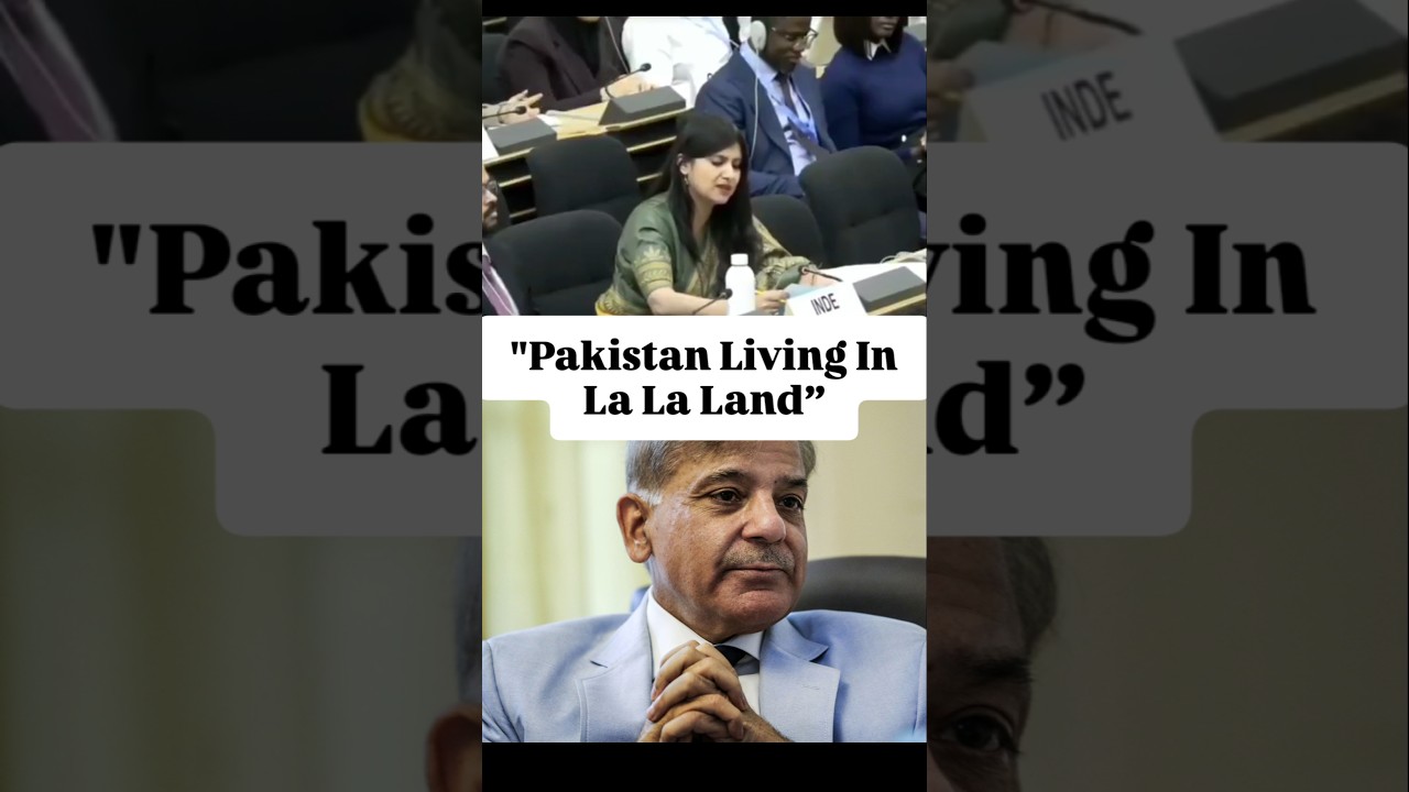 India Slams Pak At UN | J&K Development Budget Vs  Pakistan IMF Bailout | #india #pakistan #viral