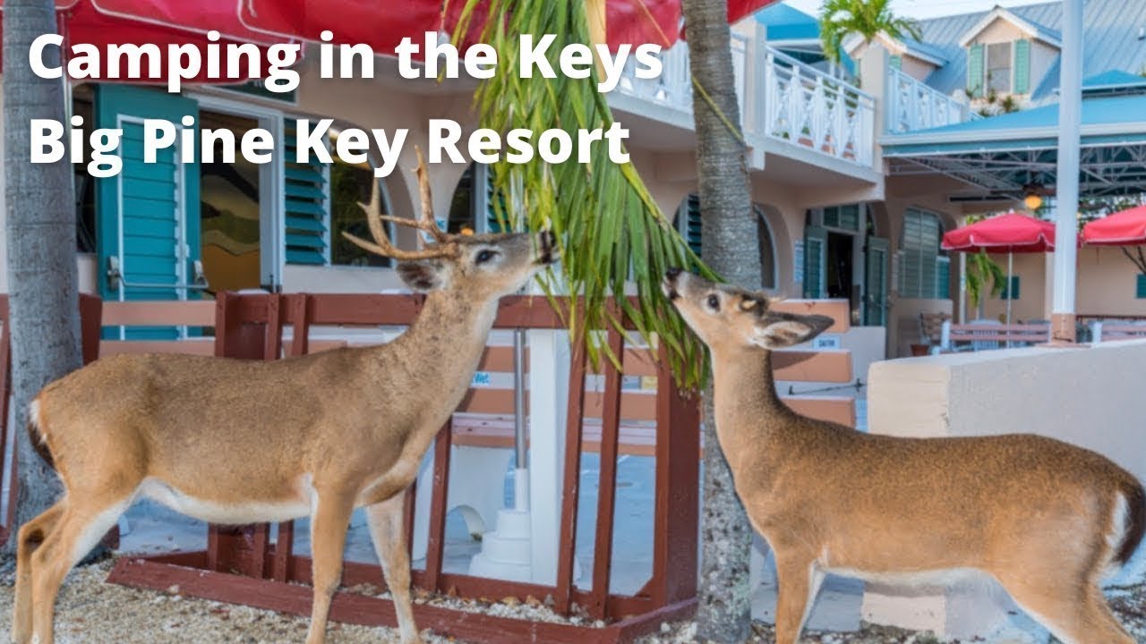 Big Pine Key Resort camping in Florida