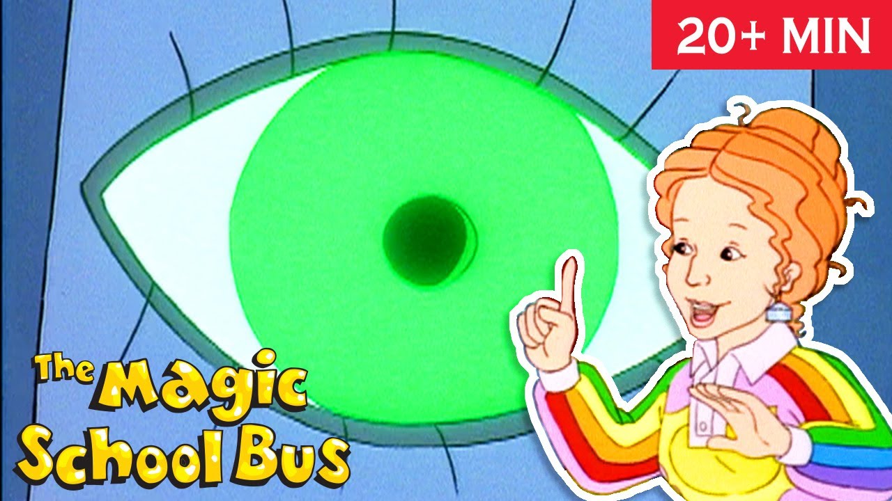 Sight, Smell, Hearing, Taste & Touch | The Magic School Bus | Scholastic Classic