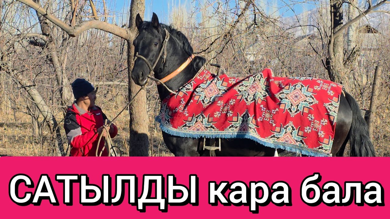 КЕТТИ КАРА БАЛА САТЫЛДЫ
