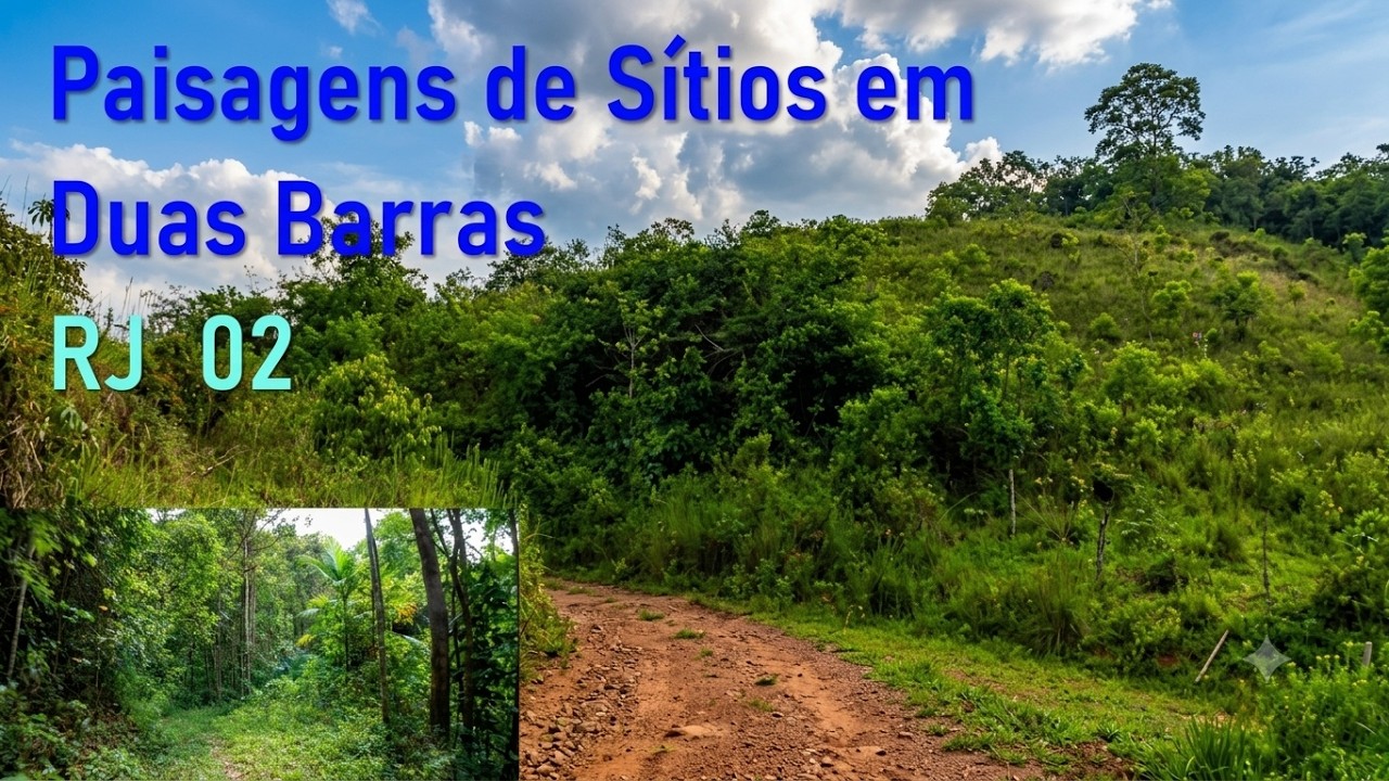 Atravessando a mata. Paisagens da Roça. Sítios. Duas Barras. RJ. 2 Turismo Rural e Natureza  #trn