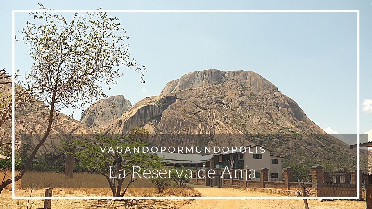 RESERVA ANJA Y LOS L&Eacute;MURES DE COLA ANILLADA- ▶️ Ruta Madagascar 🐒