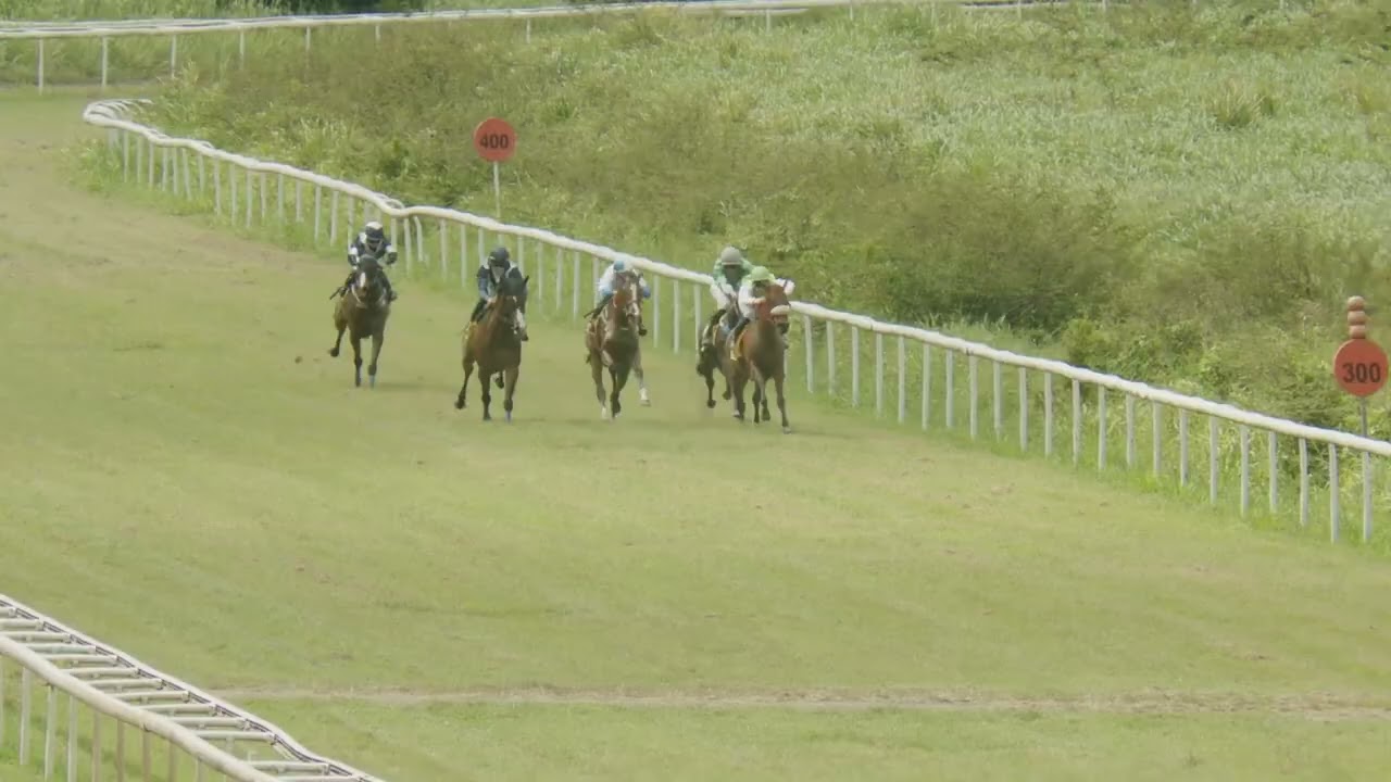 Course 2 PRIX DU BWA FLO 08/02/26
