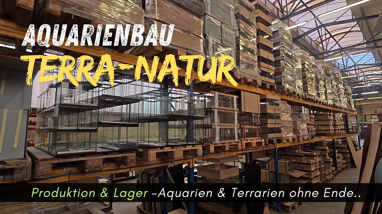 Aquarienbau Terra-Natur -Rundgang Lager, Aquarien und Terrarien ohne Ende..