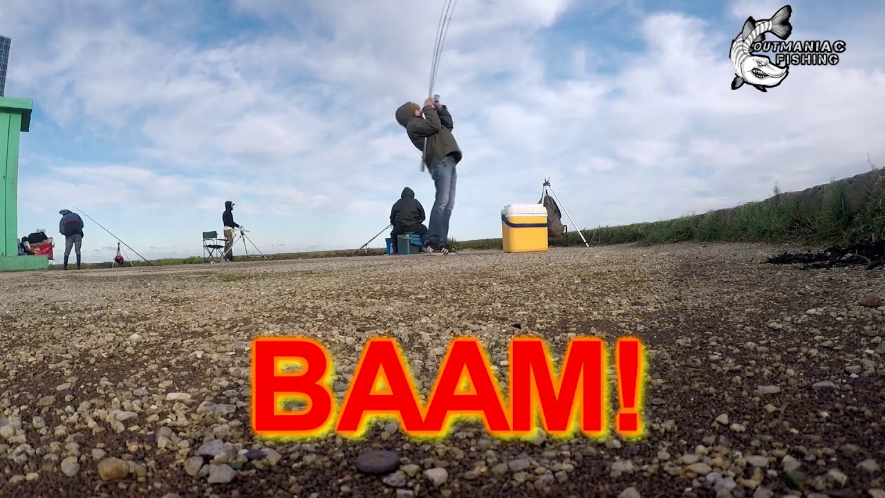 #Surfcasting #Dunkerque windy day, #alien fish invasion, starfish, seabass/Merlan, bar,etoile de mer