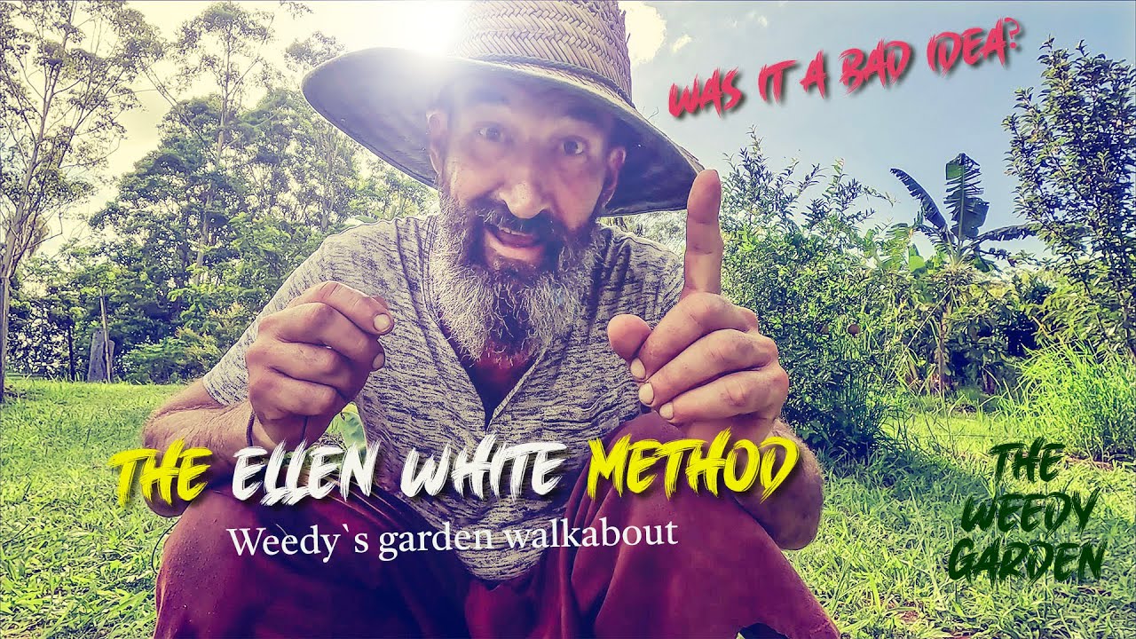 Ellen White Tree Planting | Evaluating the Ellen White Tree Planting Method: A Misguided Approach?