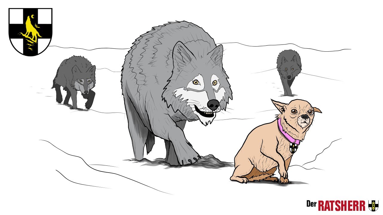 Ja zum Wolf, Nein zum Wolf, Dr&ouml;lf!!!1!!11!