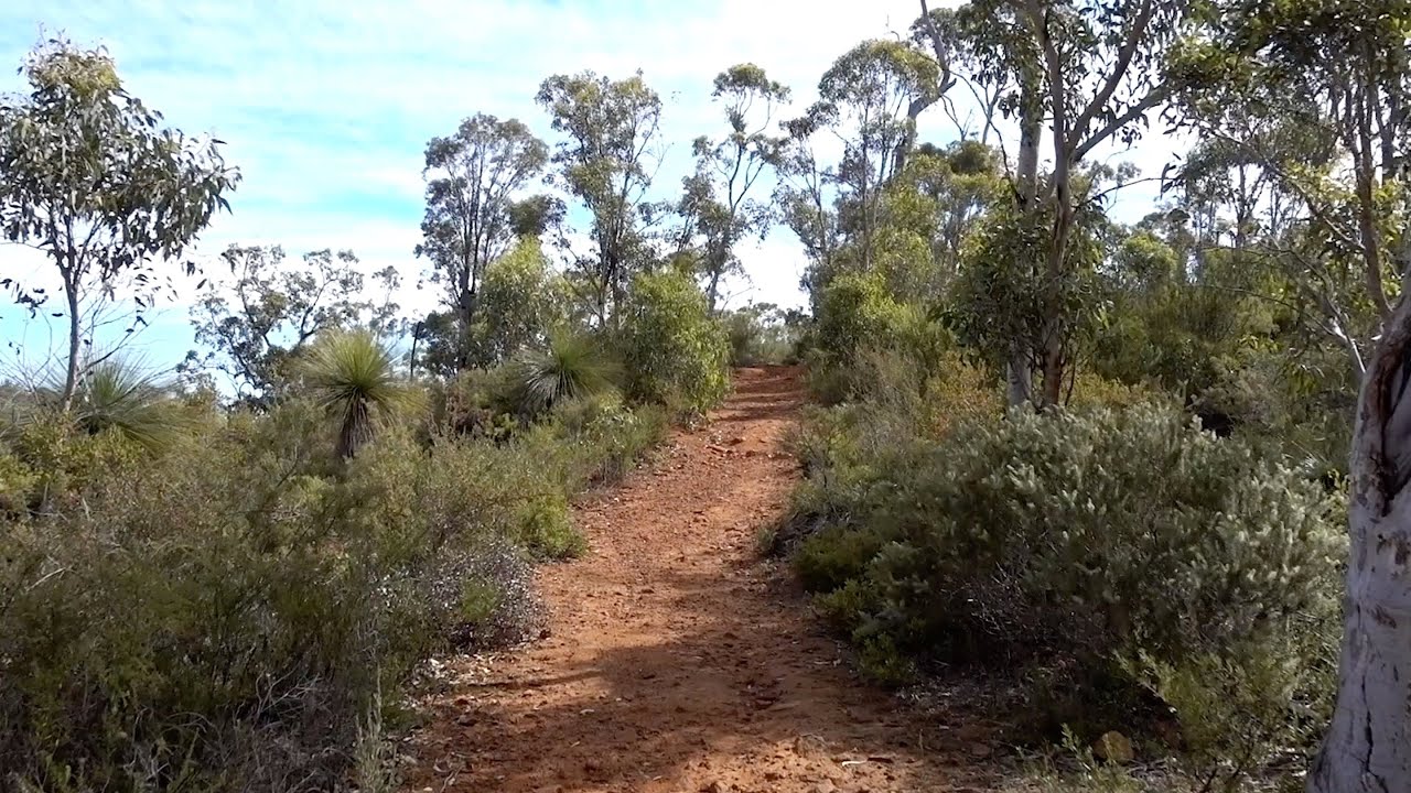 Australian Bushwalk - Australian Bushwalking Sounds (Binaural Sound)