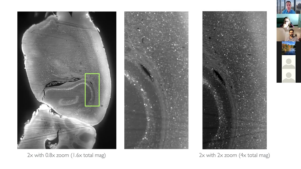 A Practical Guide to Mapping Brain Activity with ClearMap2