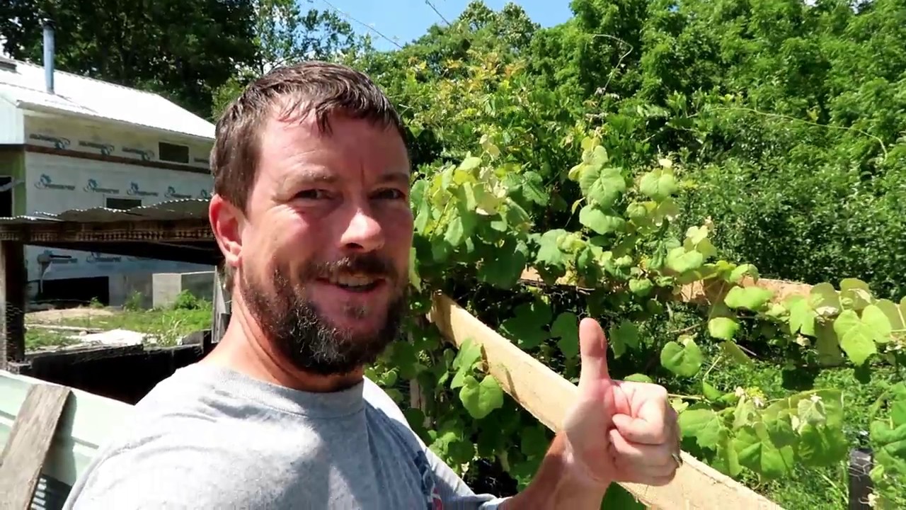 Fruit Production (Sharing Our Journey Series)