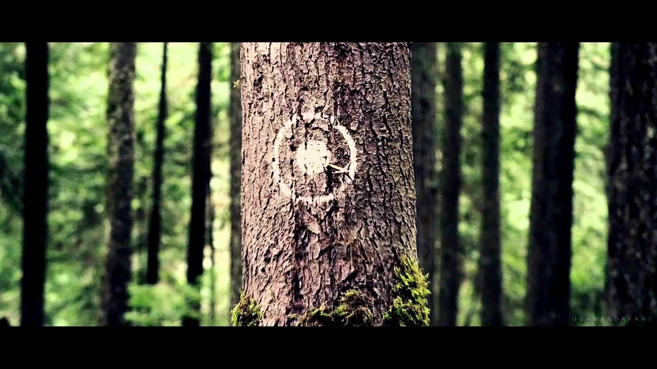 once upon a time || ready aim fire