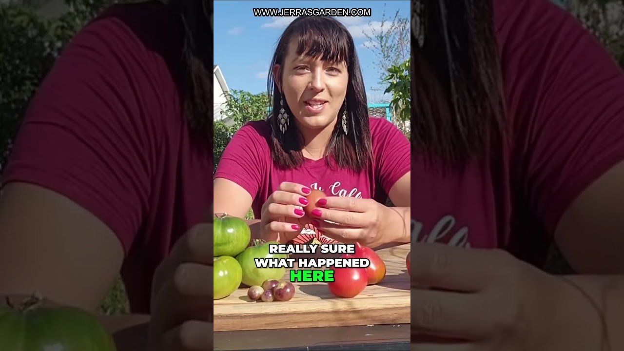 Taste Testing Heirloom Tomatoes: 7 Varieties Reviewed