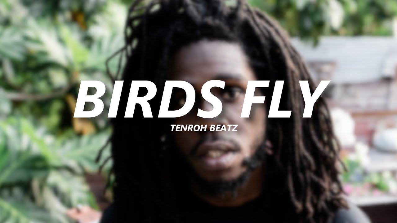 (FREE) Chronixx x Protoje x Reggae Type Beat - Birds Fly