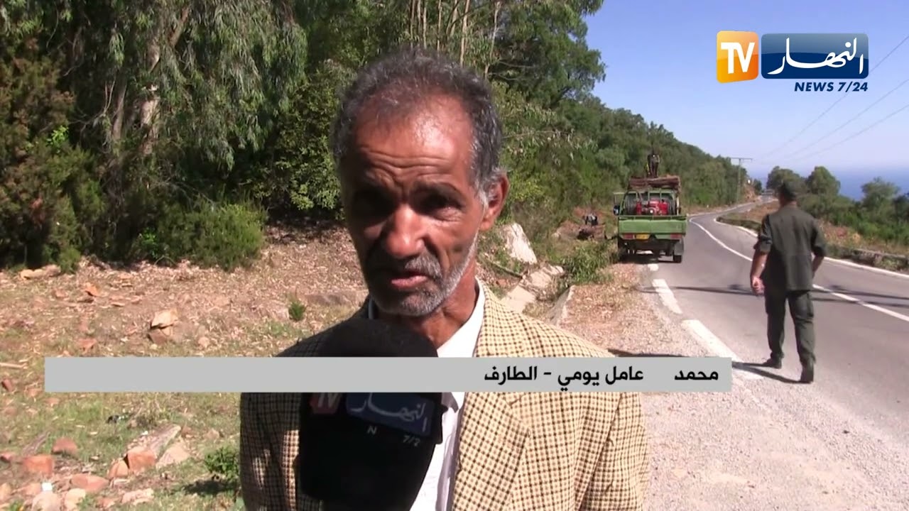 الطارف: نزع غطاء الفلين..بين العمل الشاق ومردودية الإنتاج
